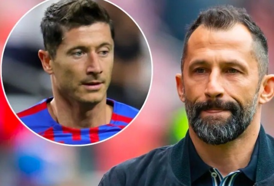 发掘与培养 发掘与培养