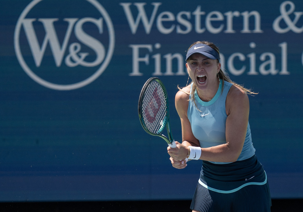 表現無疑說 表現無疑說