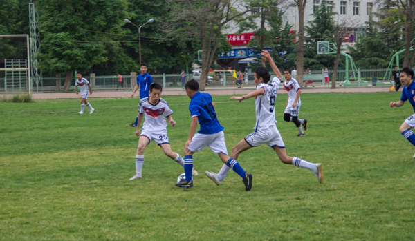 杨下赛季的 杨下赛季的